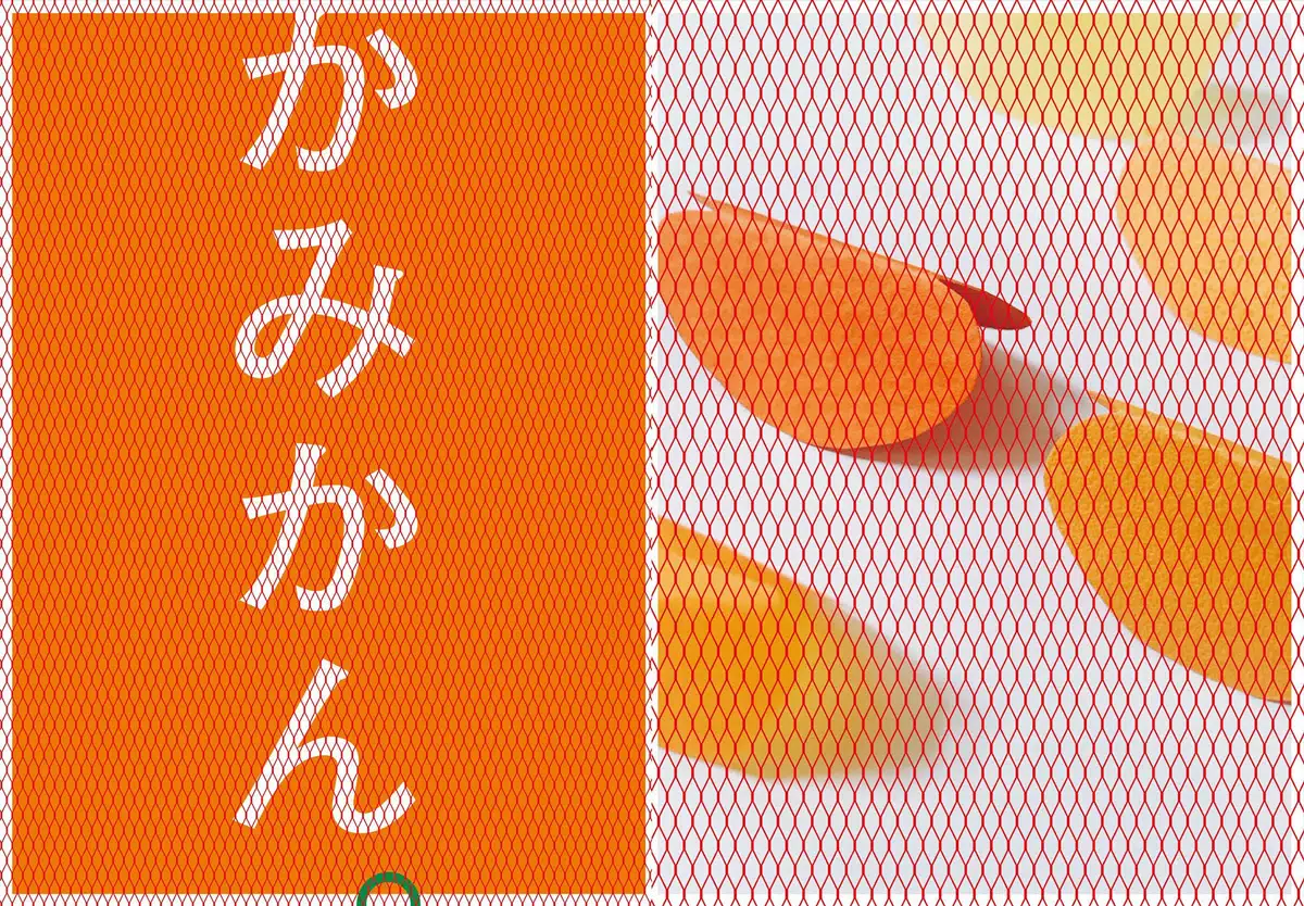 AOYAMA CREATORS STOCK 12　小杉幸一展　青山みかん帖／かみかん