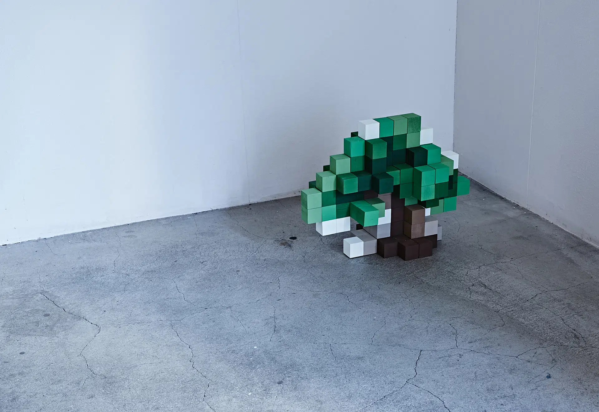 AOYAMA CREATORS STOCK 11　木住野彰悟展　色の立方体