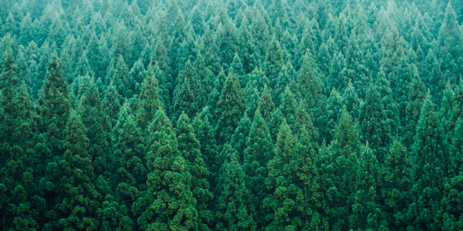 環境に配慮した紙と環境ラベル