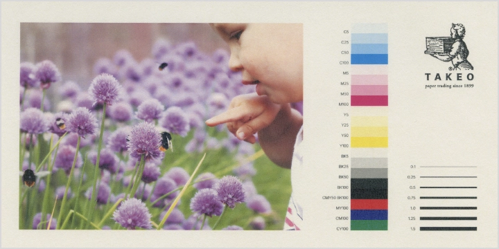 レーザープリンタでの出力