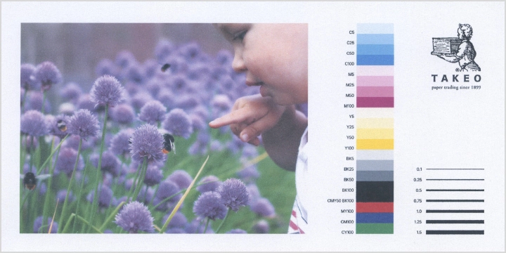 インクジェットプリンタでの出力