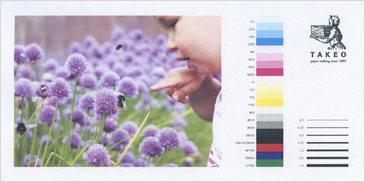 レーザープリンタでの出力