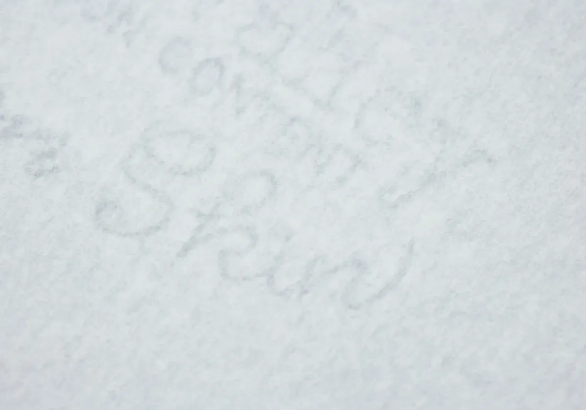 サンバレーオニオンスキン